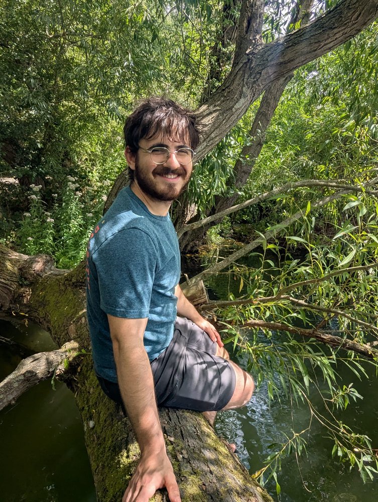 Hen Davidov, sitting in a willow tree above a river